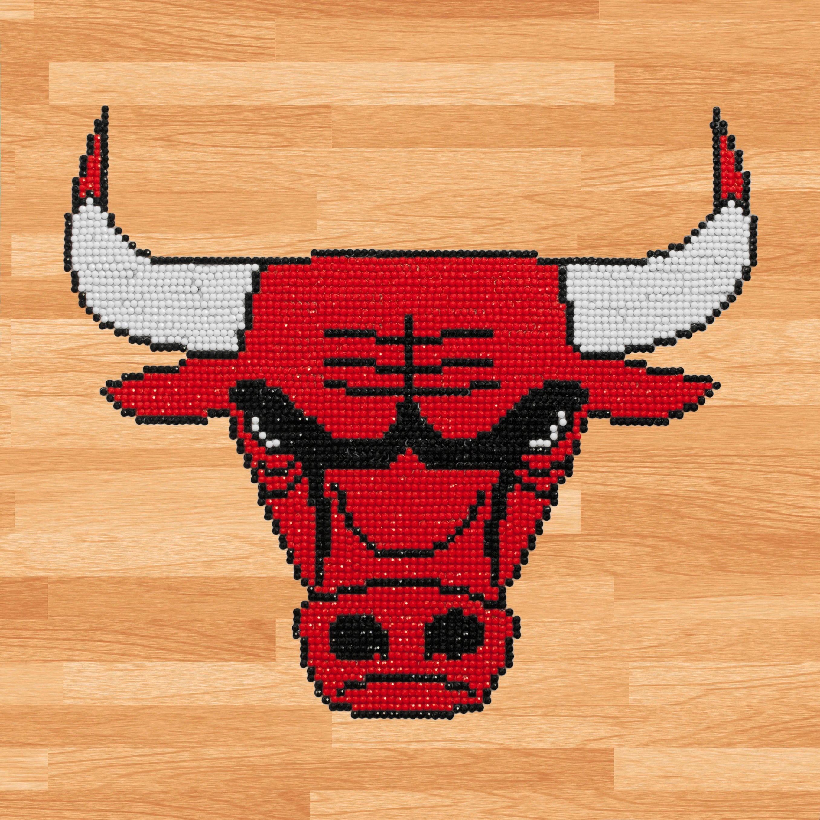 Chicago Bulls | Diamond Painting Kit NBA Basketball | Diamond Dotz –  DIAMOND DOTZ, image size:2712x2712