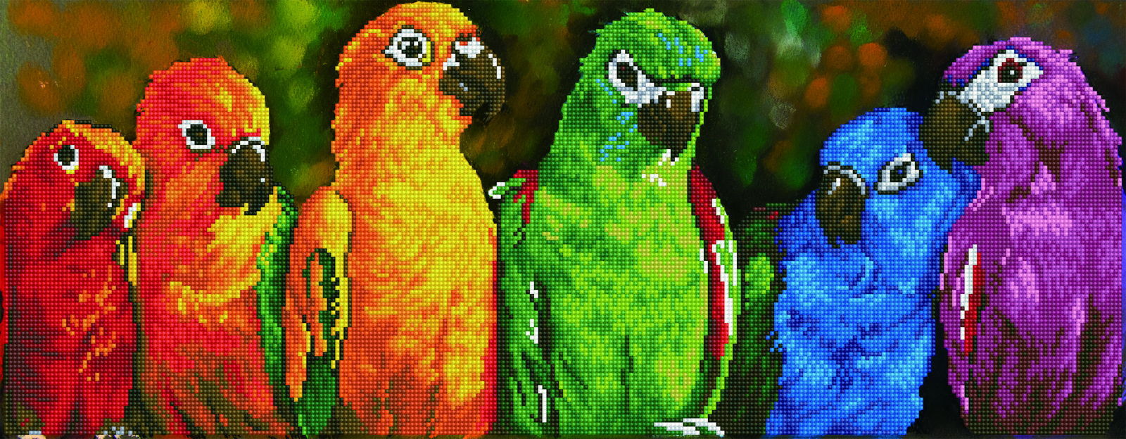 Diamond Painting 5D Green Bird 30x40cm – Kit Completo Per Adulti E Bambini, Tela Rotonda