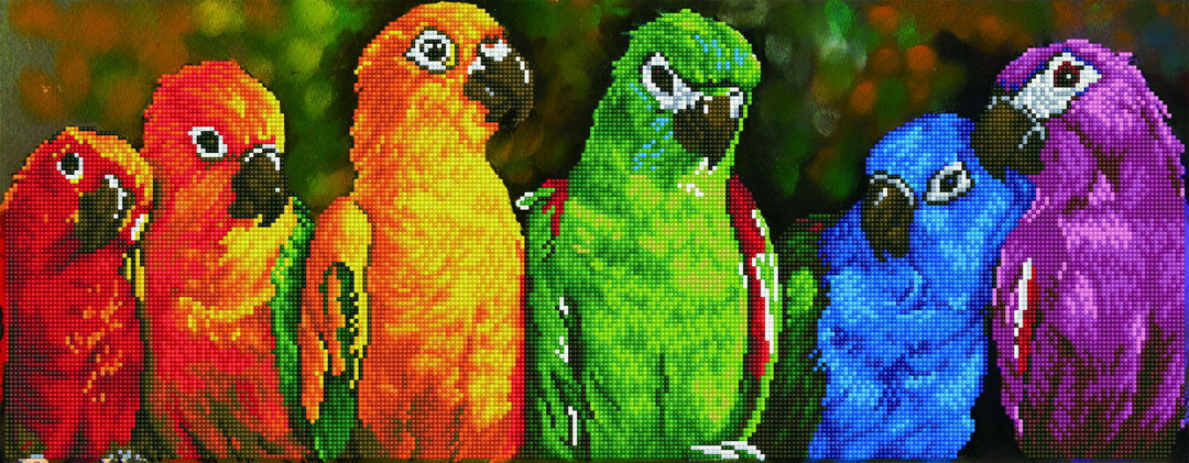 Diamond Dotz Rainbow Parrots - 30.3" x 11.8"