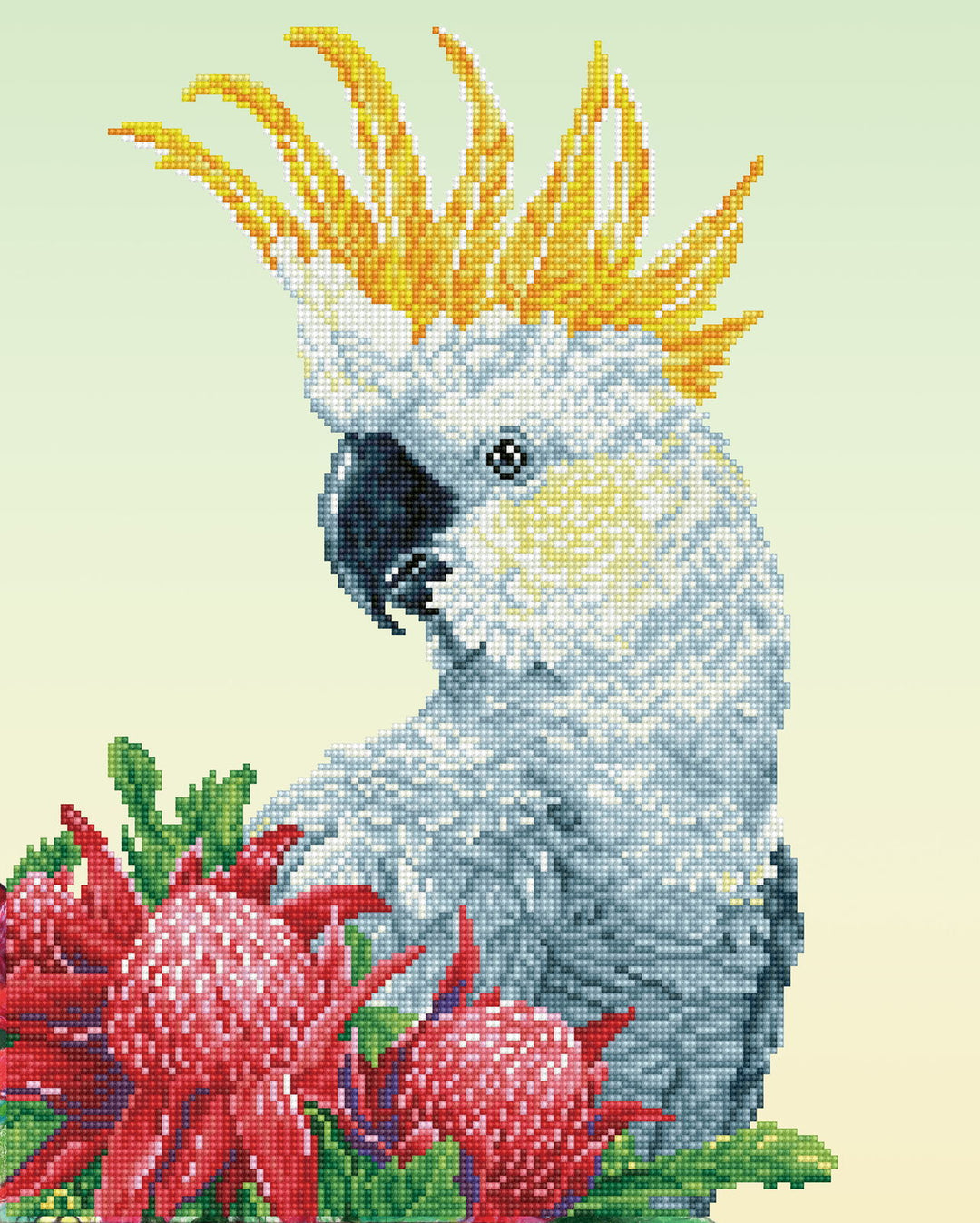 Diamond Dotz White Cockatoo & Waratahs - 16.14 x 20.08 in