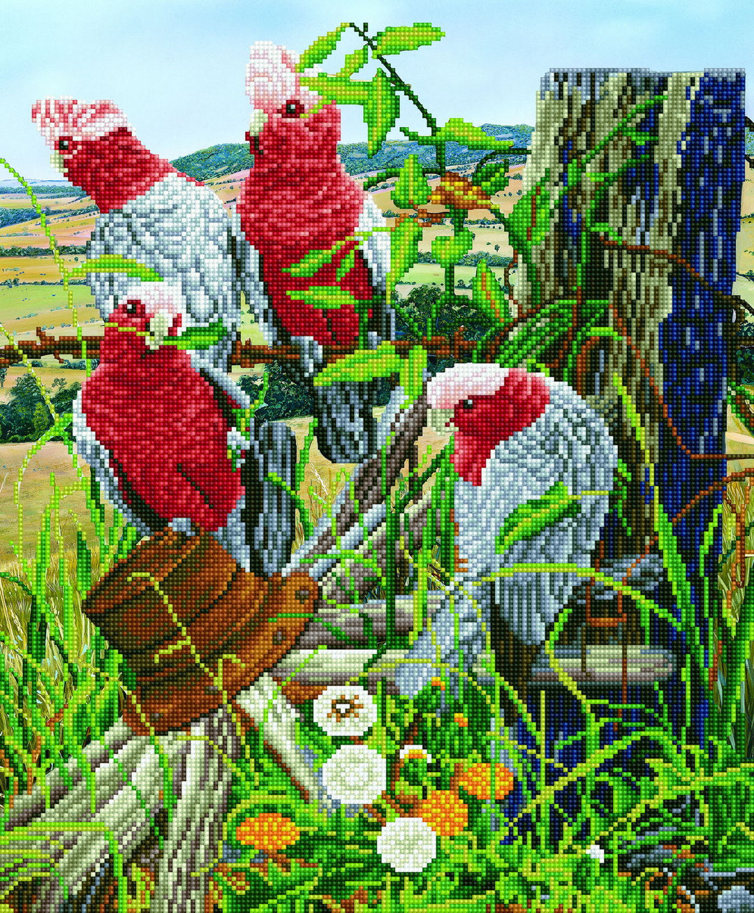 Diamond Dotz Galah Quartet - 22.4 x 18.5 in