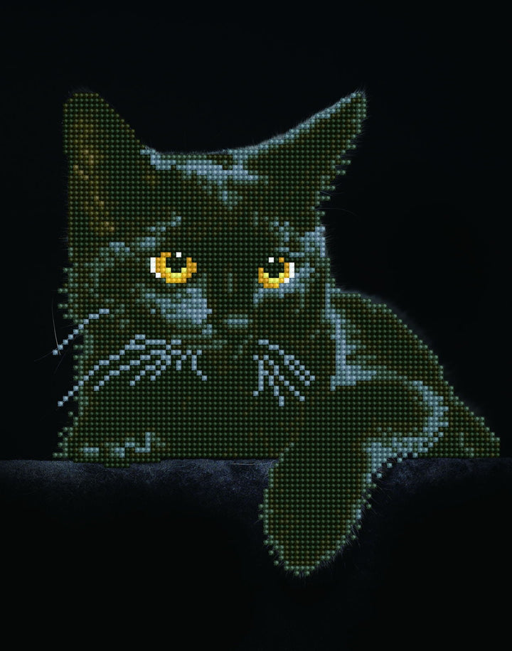 Diamond Dotz Midnight Cat - 11.0" x 14.0"