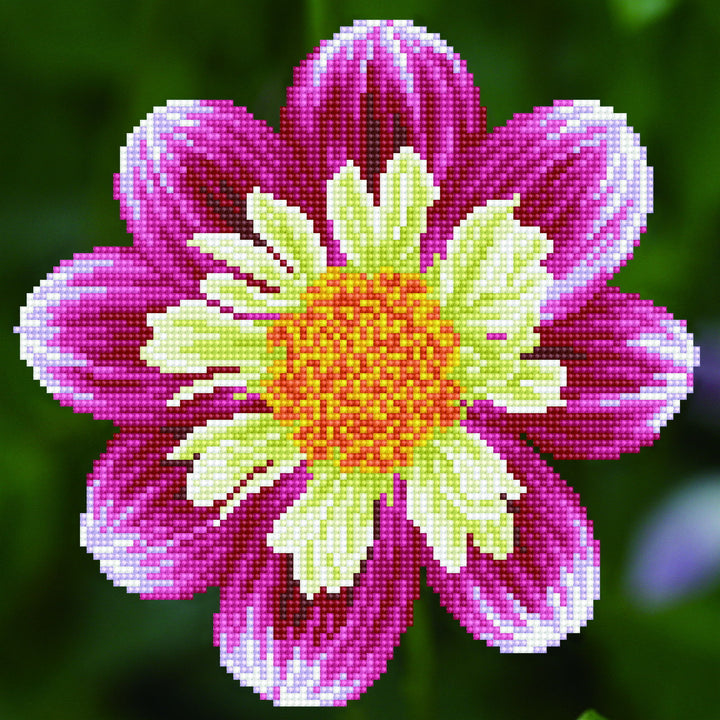 Diamond Dotz Daisy-A-Day - 12.0" x 12.0"