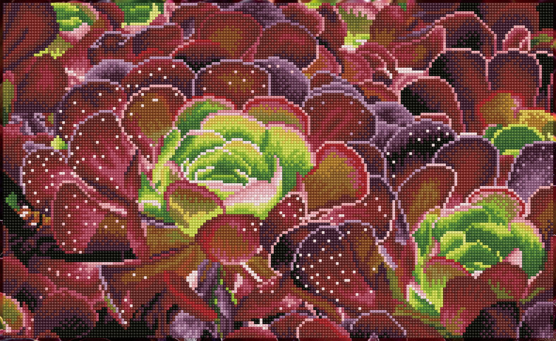 Diamond Dotz Succulents - 20.5" x 12.6"