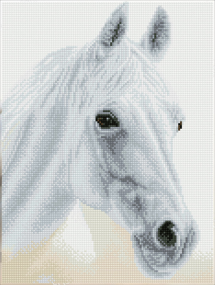 Diamond Dotz Arabian Beauty Pre-Framed Kit - 12.2" x 16.1"