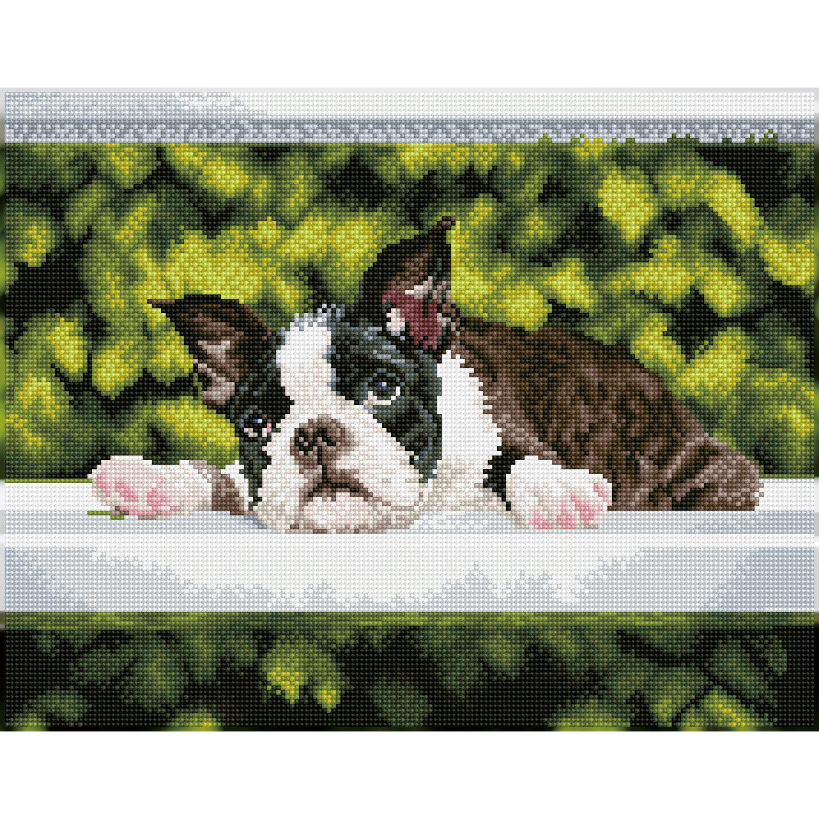 Boston Blues | Diamond Painting Kit Dogs | Diamond Dotz – DIAMOND DOTZ