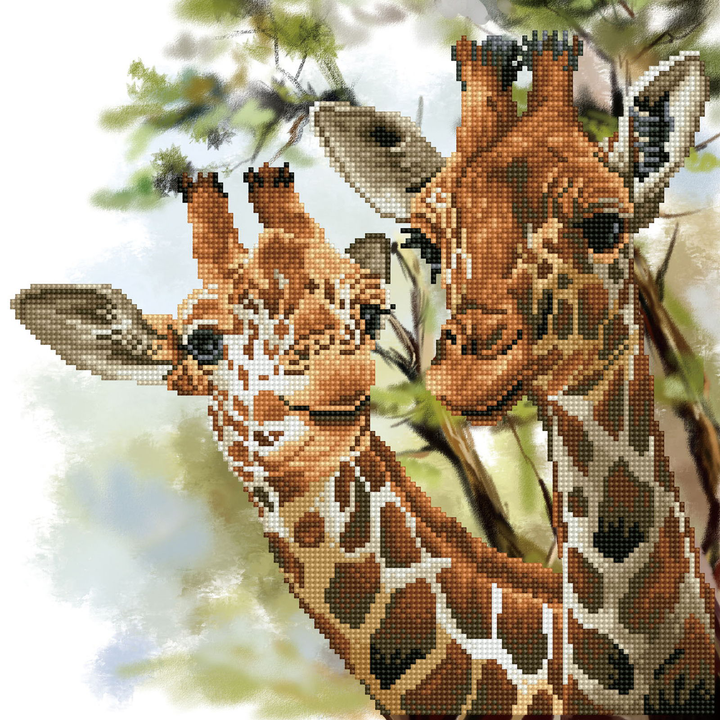 Diamond Dotz Tall & Tender - 15.8" x 15.8"