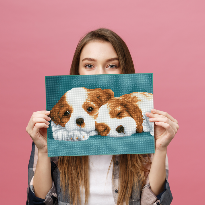 Diamond Dotz Little Champs - 16.1" x 12.2"