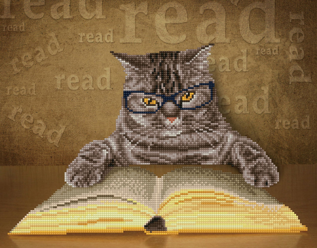 Diamond Dotz I Can Read - 14.57 x 18.5 in