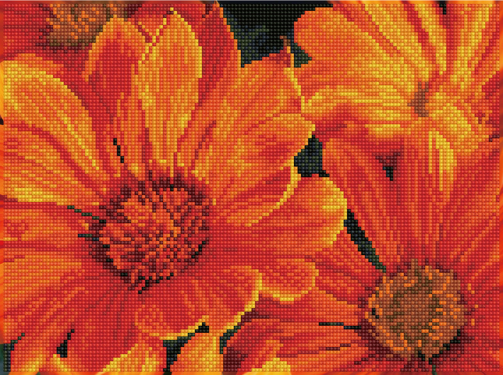 Diamond Dotz Delosperma in Bloom - 15.8" x 11.8"