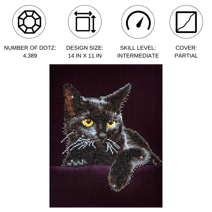 Diamond Dotz Midnight Cat - 11.0" x 14.0"