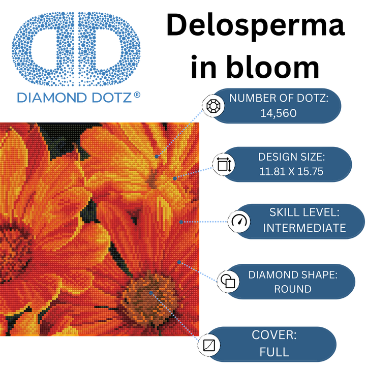 Diamond Dotz Delosperma in Bloom - 15.8" x 11.8"