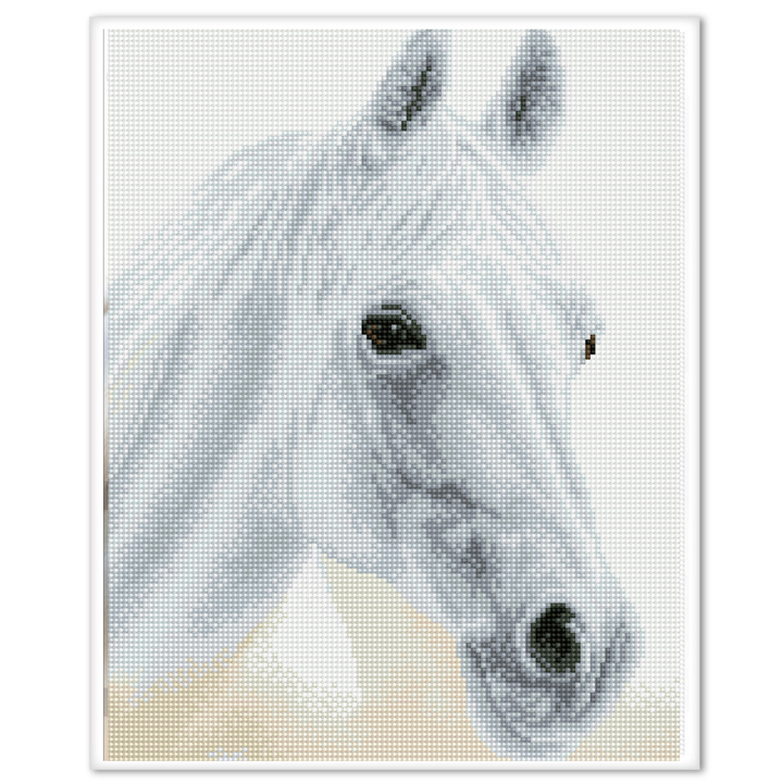 Diamond Dotz Arabian Beauty Pre-Framed Kit - 12.2" x 16.1"