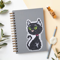 Cat — 1