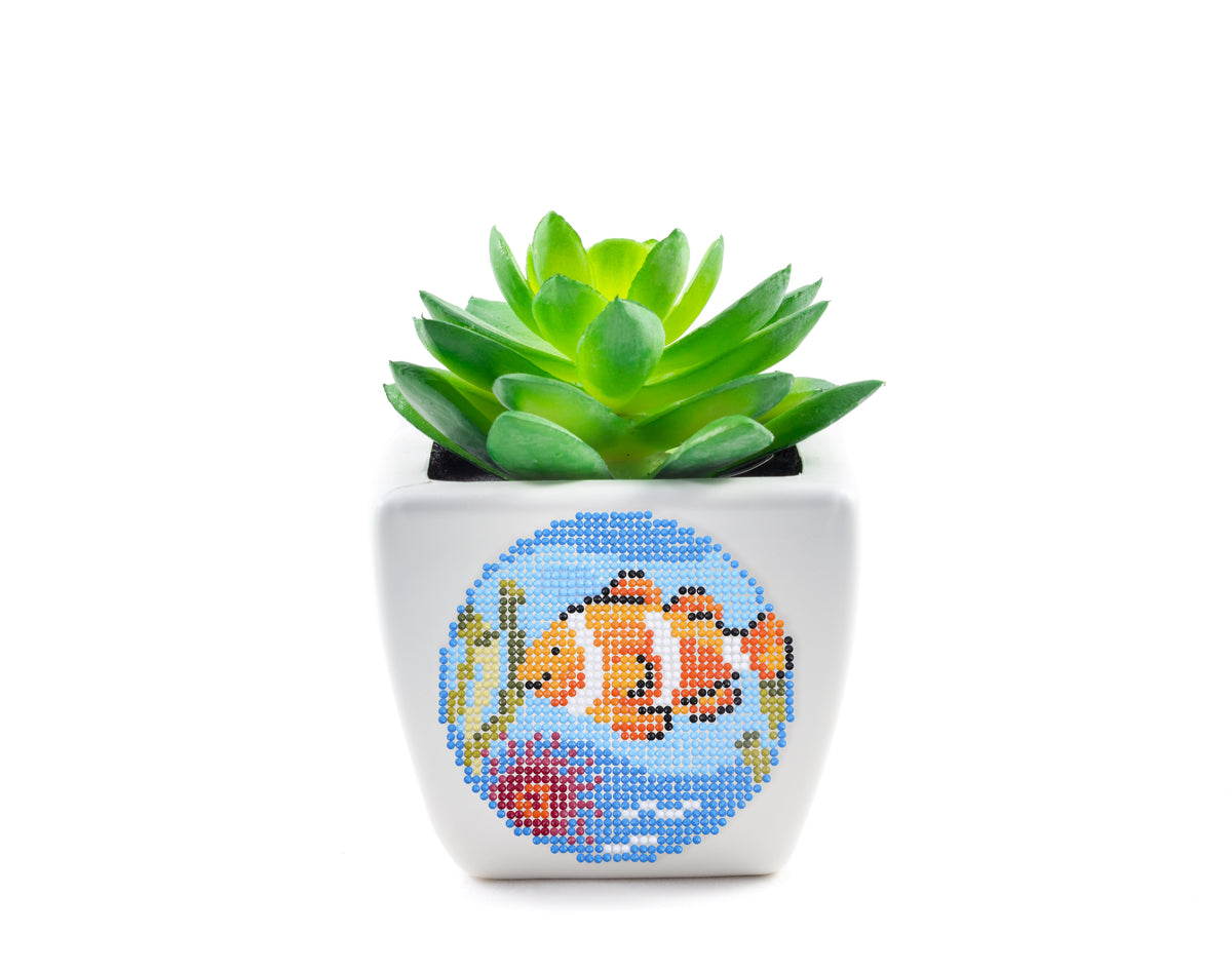 Clown Fish