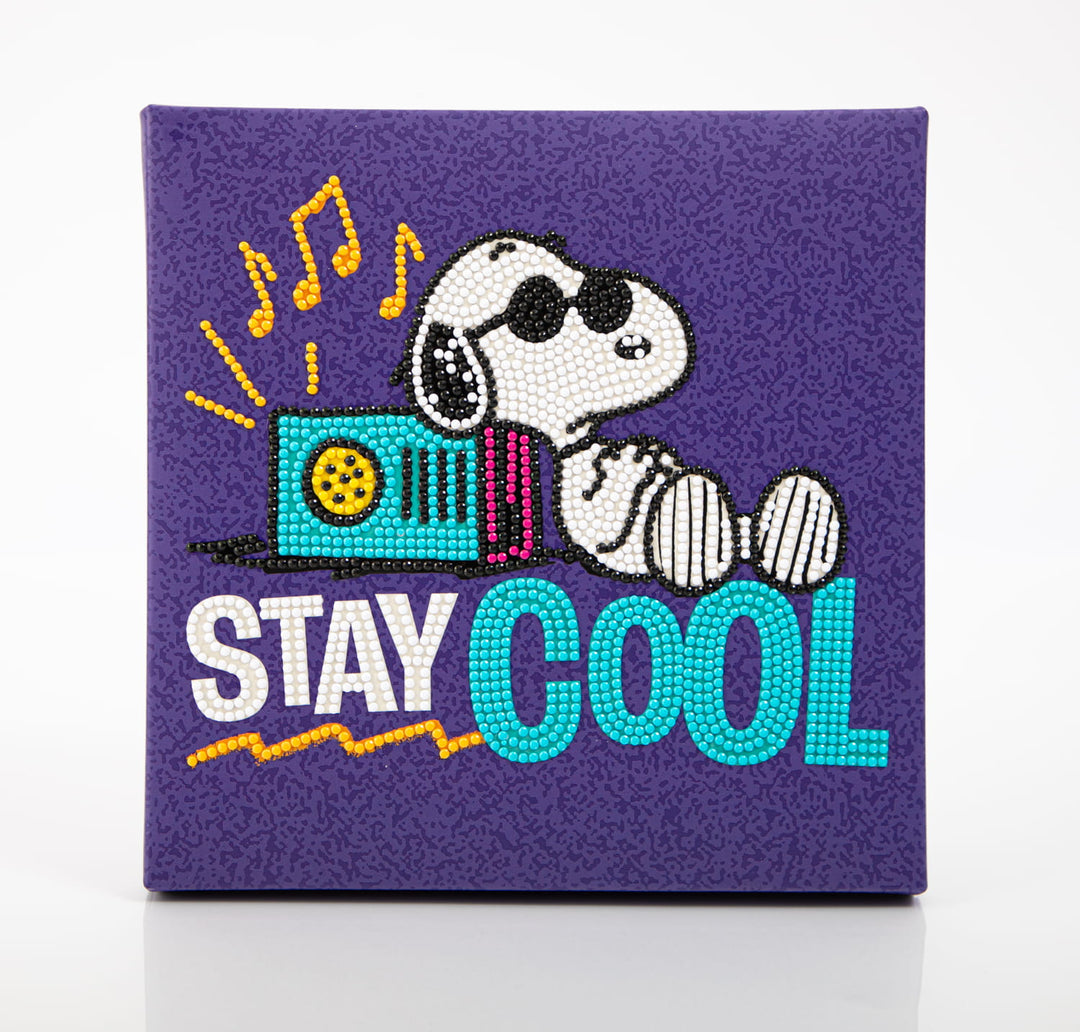 DOTZ Box Stay Cool Peanuts