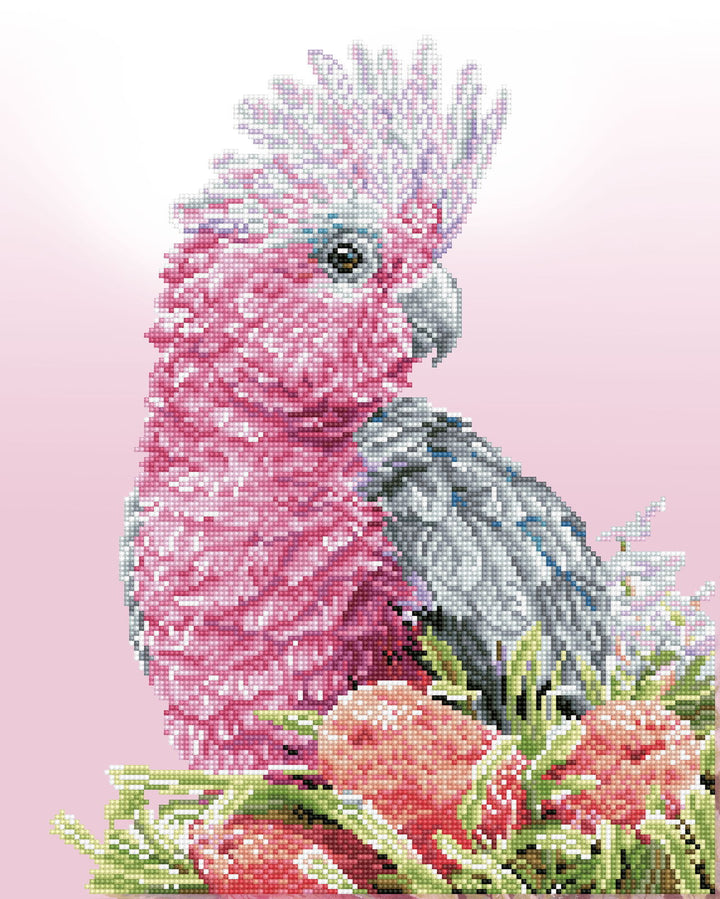 Diamond Dotz Pink Galah & Banksias - 16.14 x 20.08 in