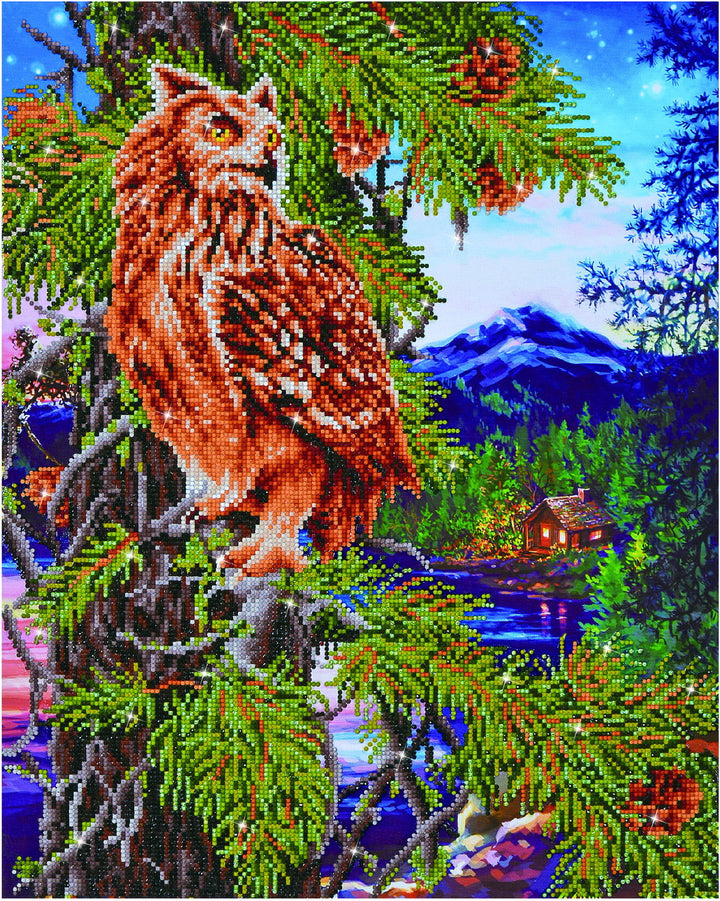 Diamond Dotz Twilight Wisdom - 23.2 x 18.5 in