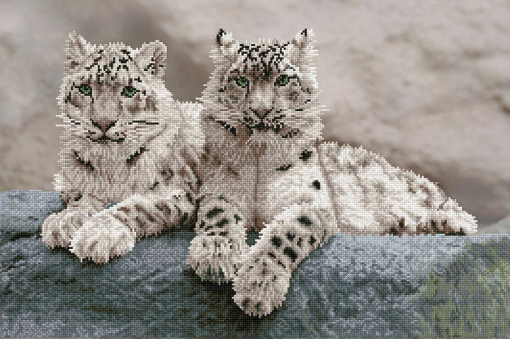 Diamond Dotz Snow Leopards Hemis National Park - 19.69 x 29.53 in