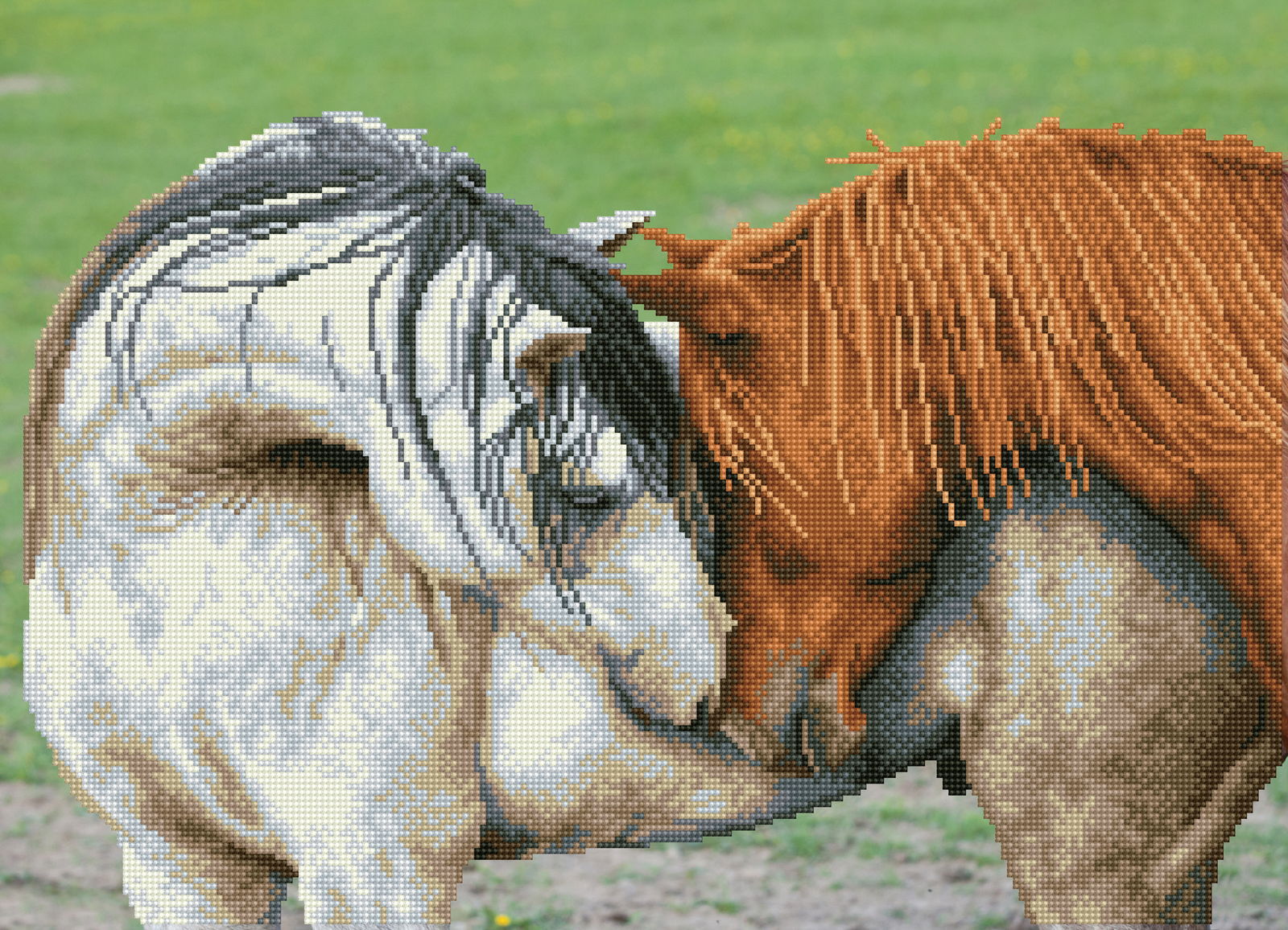 Courtship | Diamond Painting Kits Horses | Diamond Dotz – DIAMOND DOTZ