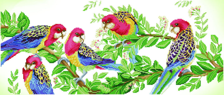 Diamond Dotz Eastern Rosella Gathering - 34.3 x 14.6 in