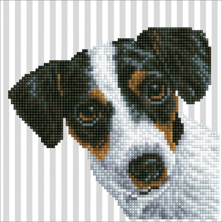 Diamond Dotz Me?? - 9.1 x 9.1 in