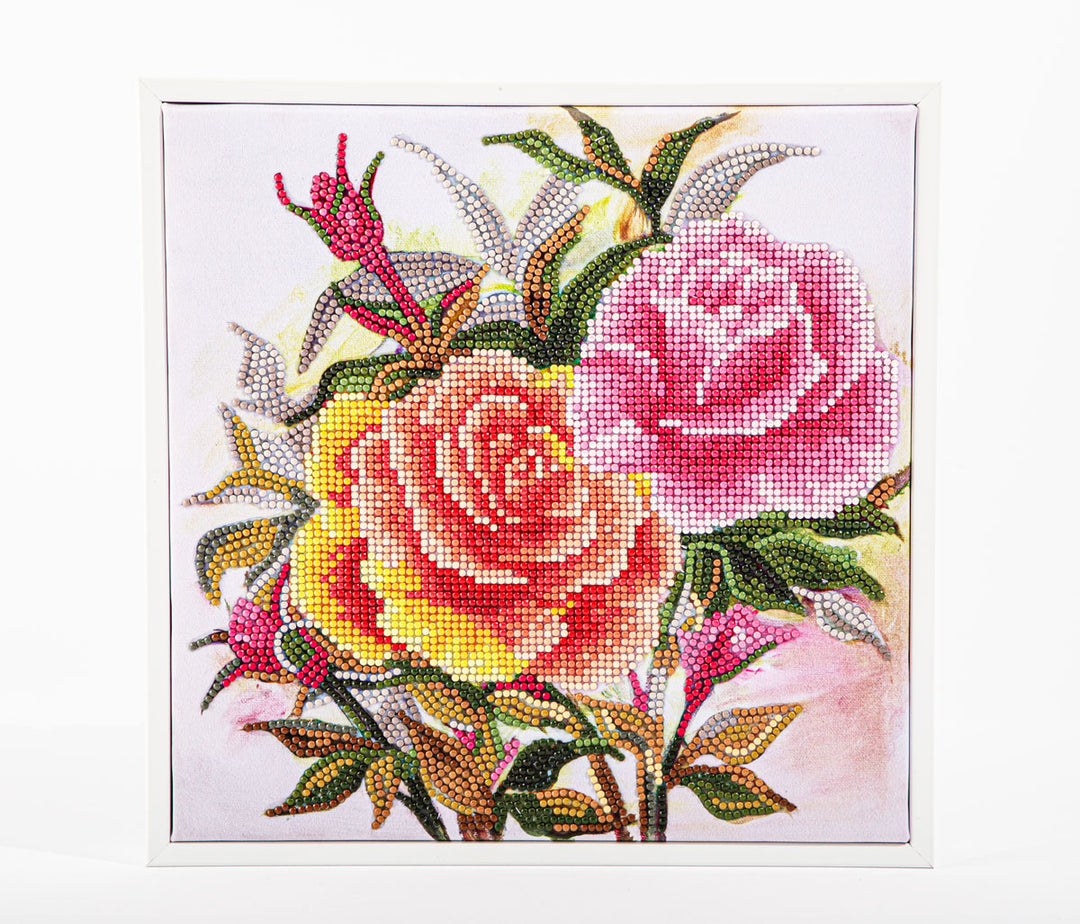Timeless Roses