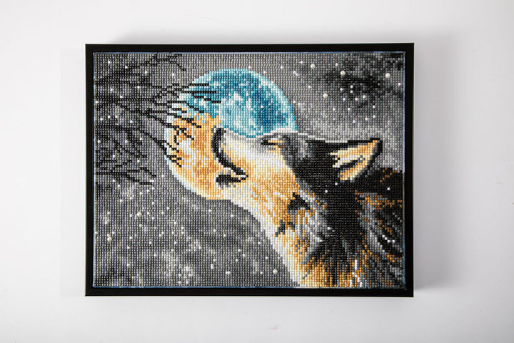 Howling at the Moon