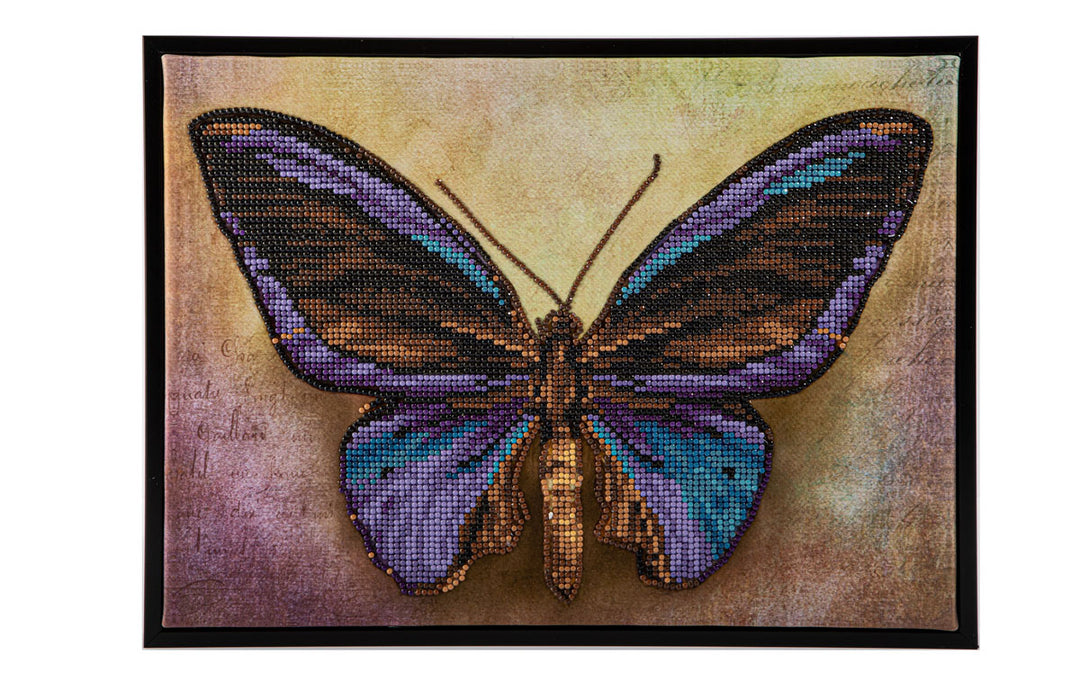 Mauve Butterfly