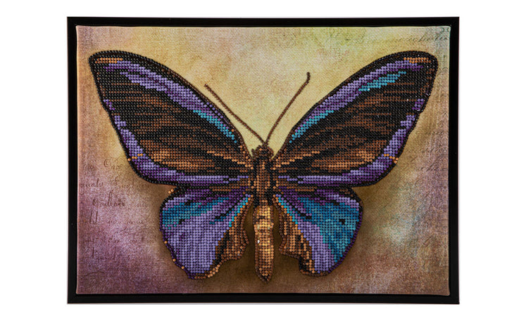 Mauve Butterfly