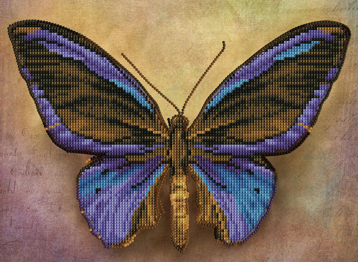 Mauve Butterfly