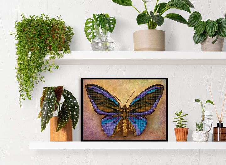 Mauve Butterfly