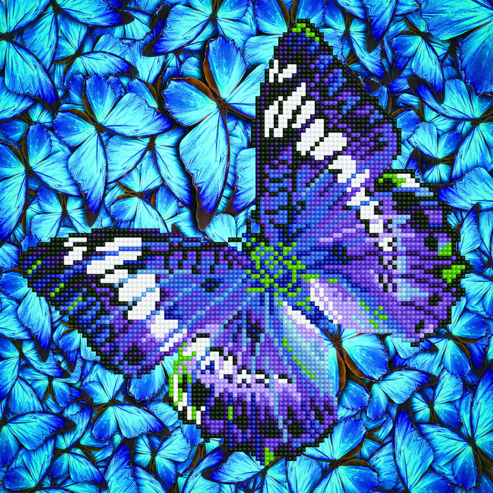Diamond Dotz Flutter By Mauve - 12 x 12 in