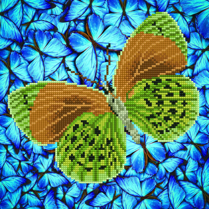 Diamond Dotz Flutterby Earth - 12 x 12 in