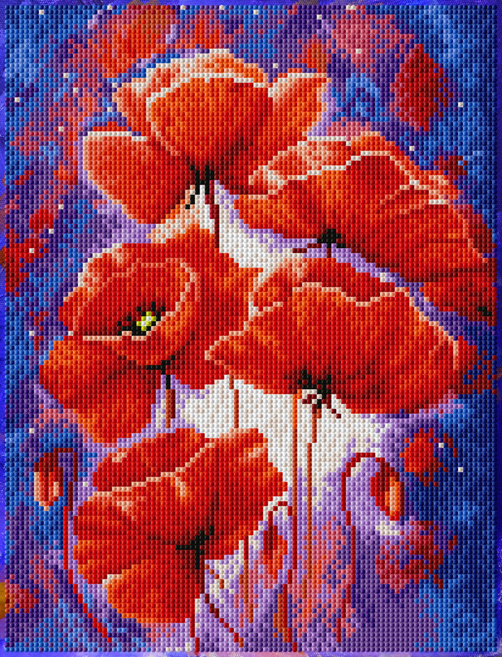 Poppies