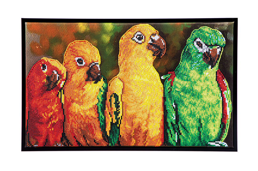 Parrots