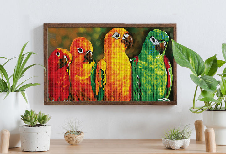 Parrots