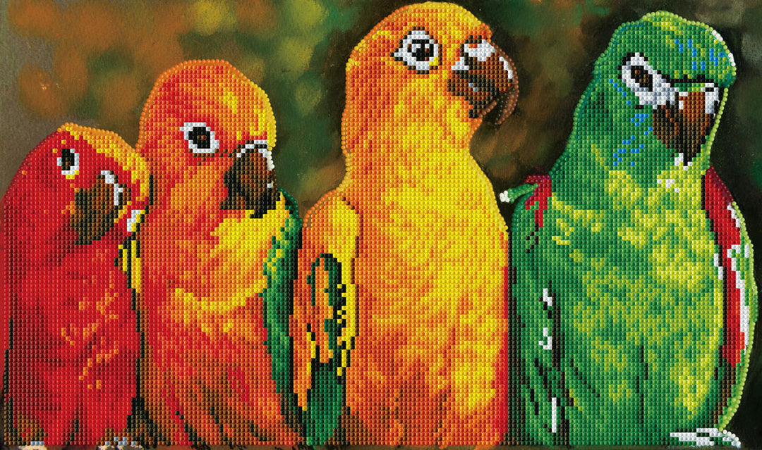 Parrots