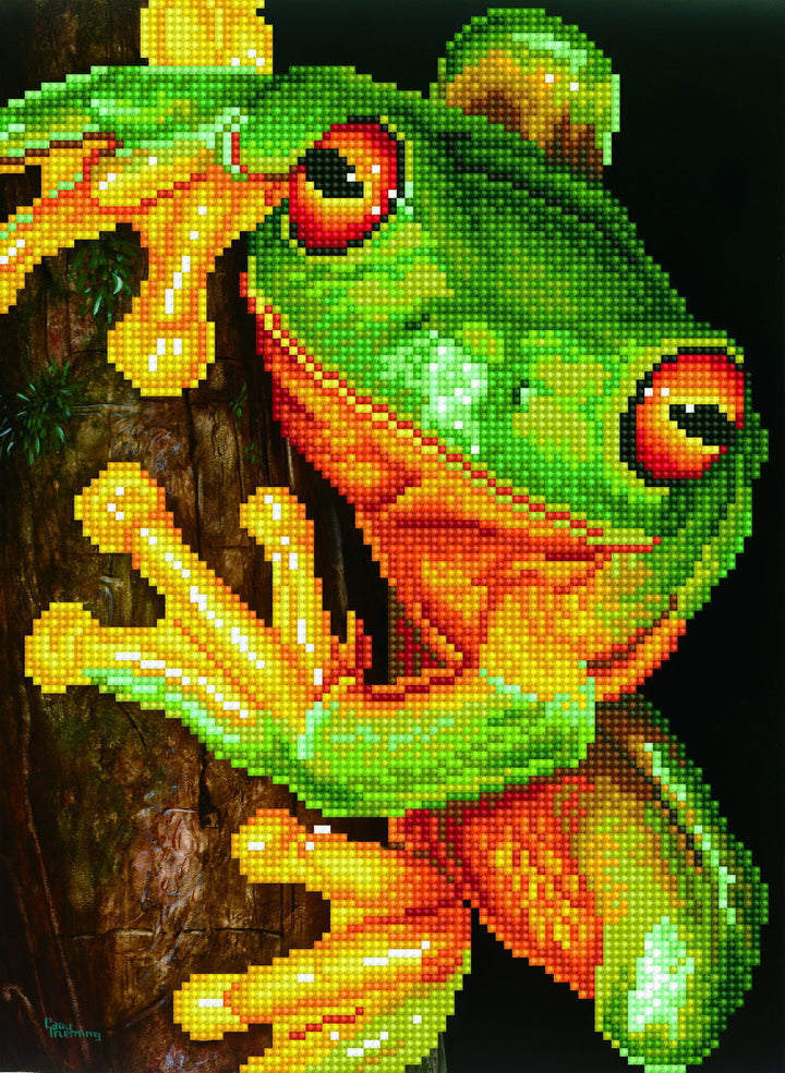 Diamond Dotz Green Tree Frog - 14.57 x 10.63 in