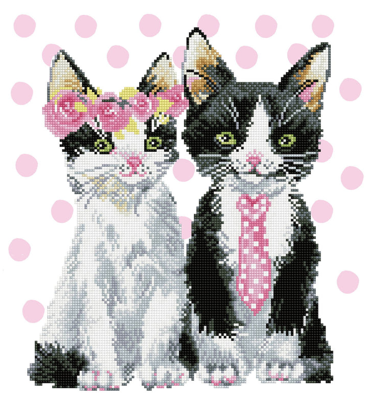 Diamond Dotz Mr & Mrs Pink - 16.5 x 18.5 in
