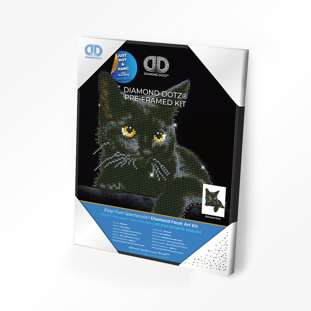 Midnight Cat Pre-Framed Kit- 11" x 14"