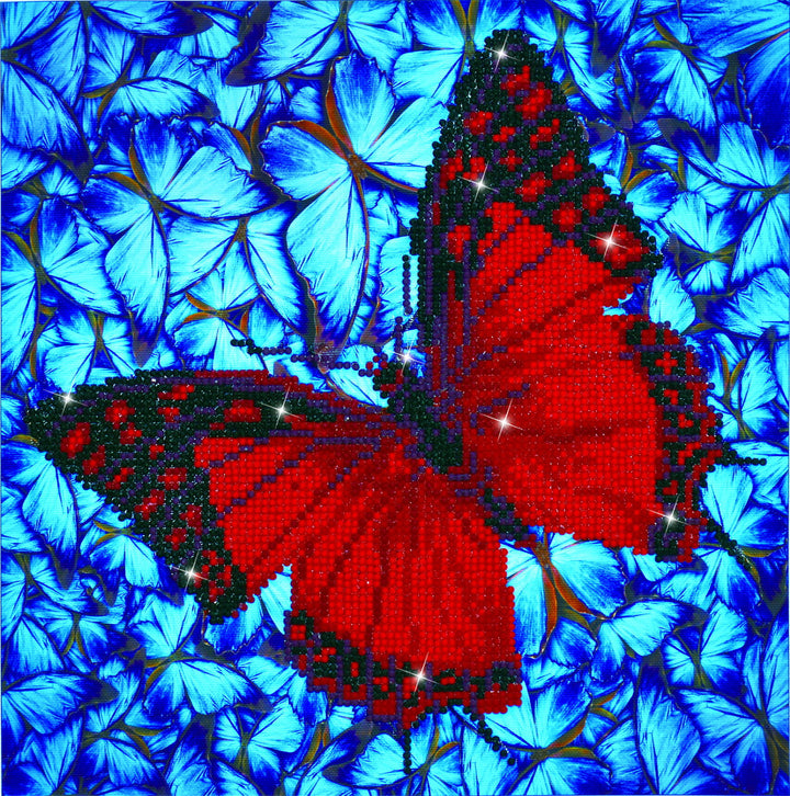 Diamond Dotz Flutter by Red with Frame - 12 x 12 in
