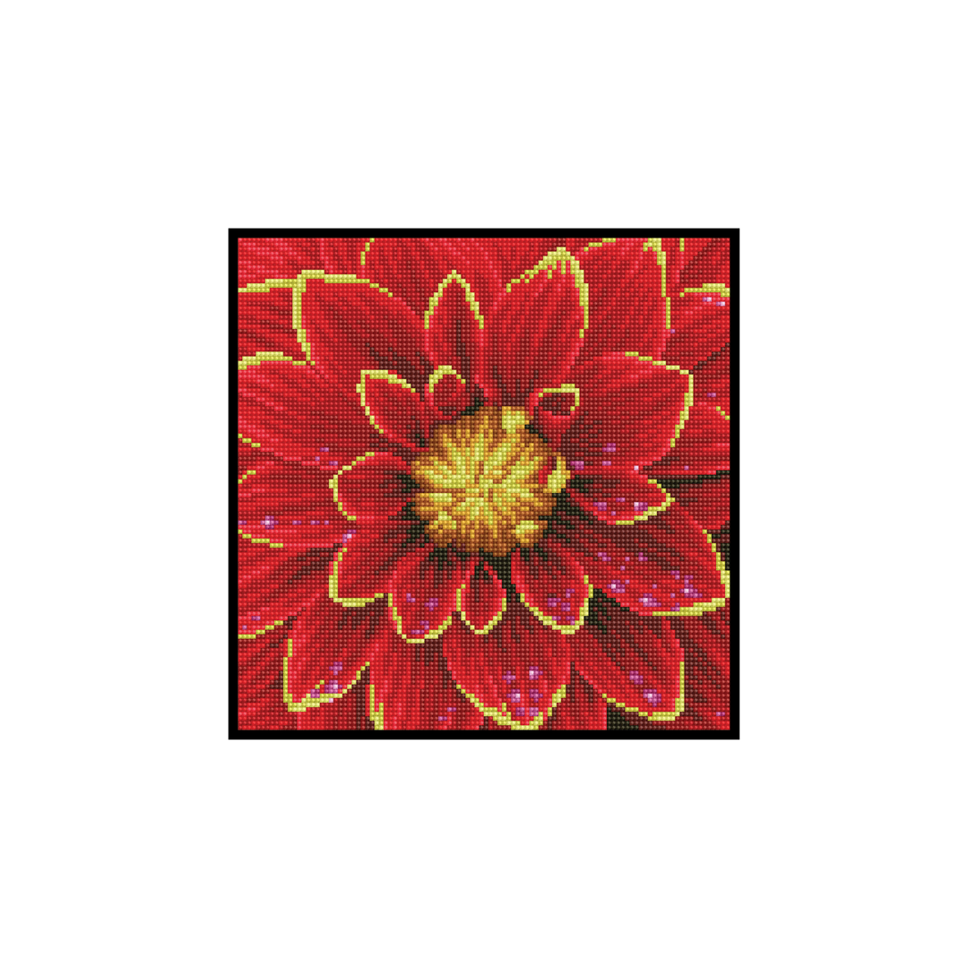 Dahlia Pre-Framed Kit - 12" x 12"