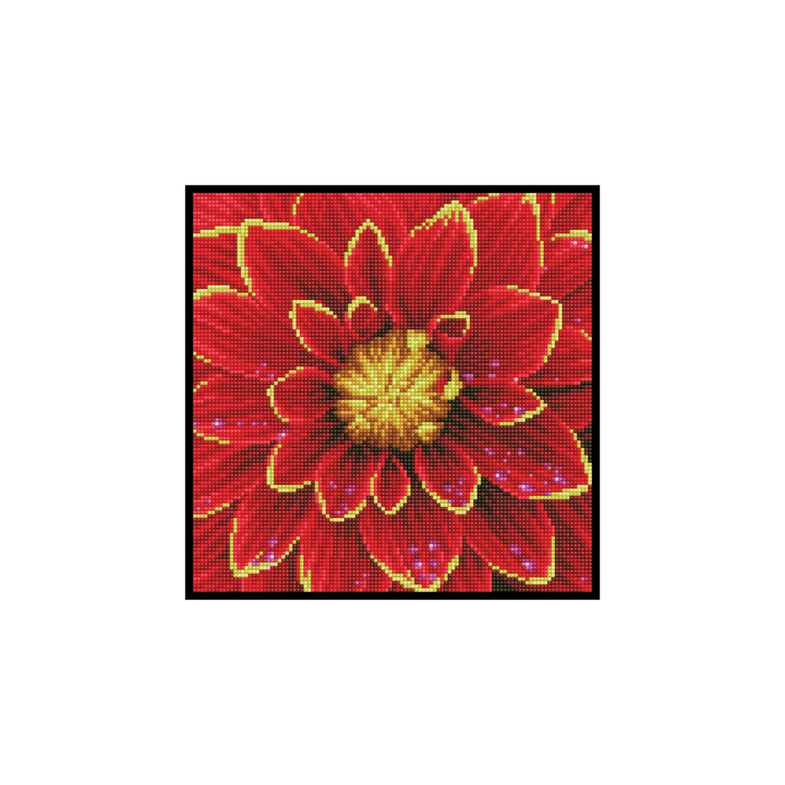 Dahlia Pre-Framed Kit - 12" x 12"