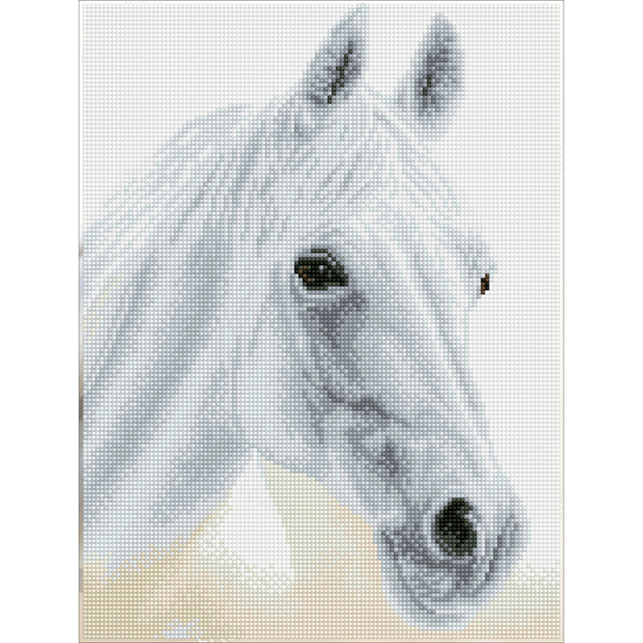 Diamond Dotz Arabian Beauty - 16.14 x 12.2 in