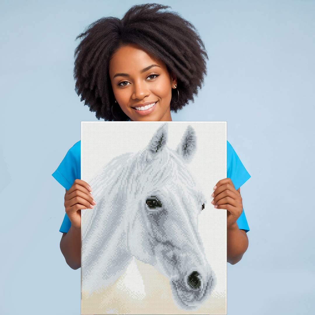 Diamond Dotz Arabian Beauty - 12.2" x 16.1"