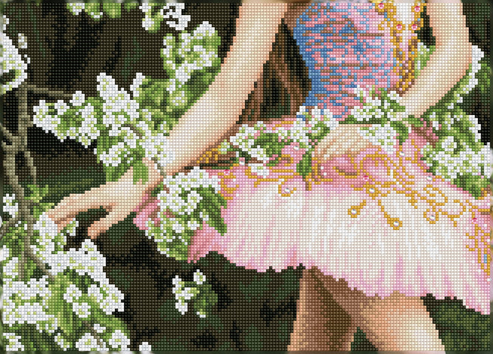 Diamond Dotz Dance & Dream - 16.93 x 12.2 in