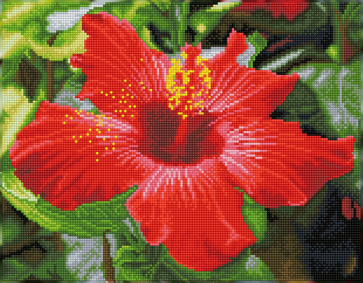 Diamond Dotz Hibiscus in Bloom Pre-Framed Kit - 16.1" x 12.6"