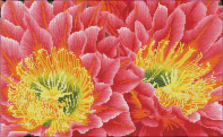 Diamond Dotz Desert Blooms Pre-Framed Kit - 20.5" x 12.6"