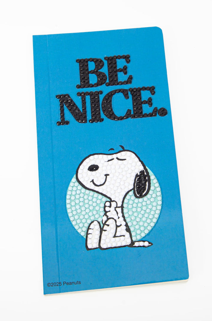 Peanuts Feel Good Activity Set